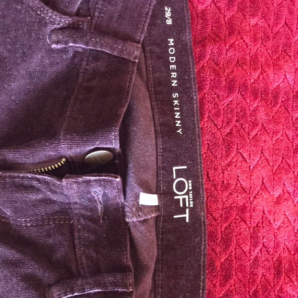 Ann Taylor Modern Skinny Pants